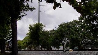 FEC Freight Train 665