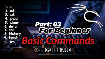 Basic Commands Of Kali Linux in Urdu & Hindi (2024-2025)