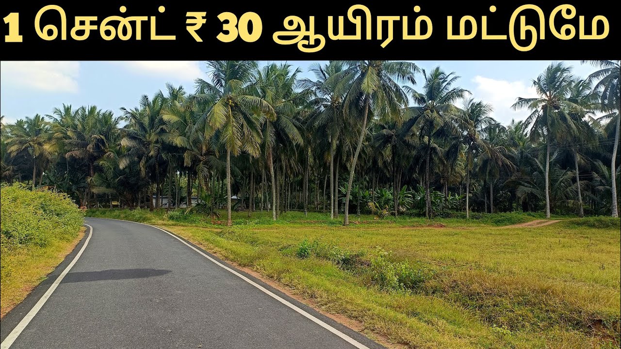 1 சென்ட் ₹ 30 ஆயிரம் மட்டுமே திருப்பூர் மாவட்டம் மொத்தம் 33 சென்ட் முதல் 1 ஏக்கர் வரை உள்ளது 👌👌
