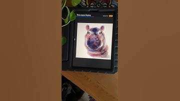 Time lapse Hippopotamus painting using gouache in #procreate #shorts