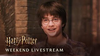 Harry Potter Cosiest Scenes Compilation Livestream