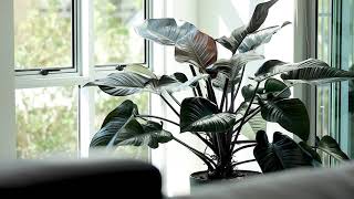 Unit 101/4 Queen Street, Kings Beach