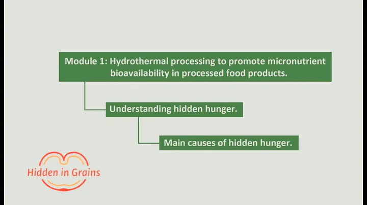 1.1.2. Understanding Hidden Hunger: Main Causes of Hidden Hunger | SIANI
