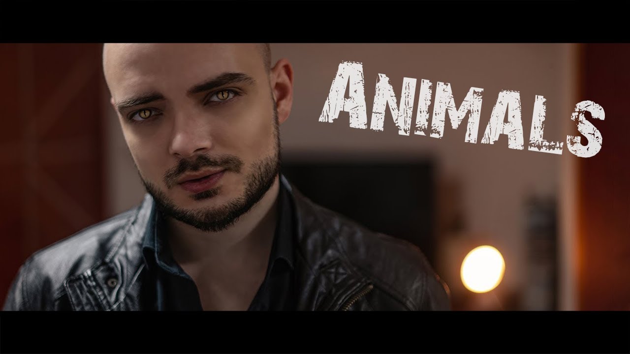 ANIMALS - Maroon 5 | Electric Guitar Cover (4K) ANIMALS - Maroon 5 | Electric Guitar Cover (4K)