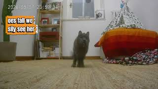 Blu Cctv home Camera 
