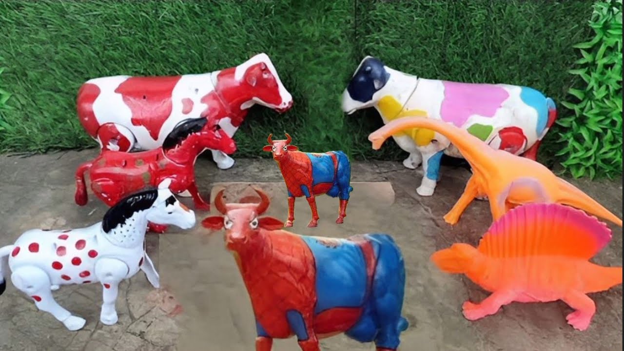 BAQRAEID 🐮‼️ QURBANI COW CUTTING PROSES WADIDAU POTONG SAPI SIMOLASI QURBANI Cartoon ‪toy story