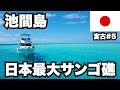 池間島ひとり旅。日本最大級のサンゴ礁が広がる美しい海！【宮古諸島#5】