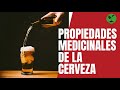 Propiedades Medicinales De La Cerveza