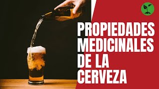 Propiedades Medicinales De La Cerveza
