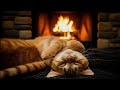 11 Hours Sleepy Cat Purring by the Fireplace | Relaxing Sounds for Deep Sleep &amp; Stress Relief