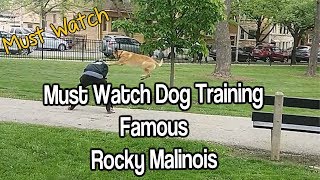 Must SEE Dog Training World Famous Malinois Rocky by MasterPaw 3,810 views 5 years ago 3 minutes, 4 seconds
