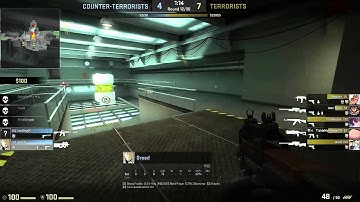 A Game of Cat and Mouse (Counter-Strike: Global Offensive)