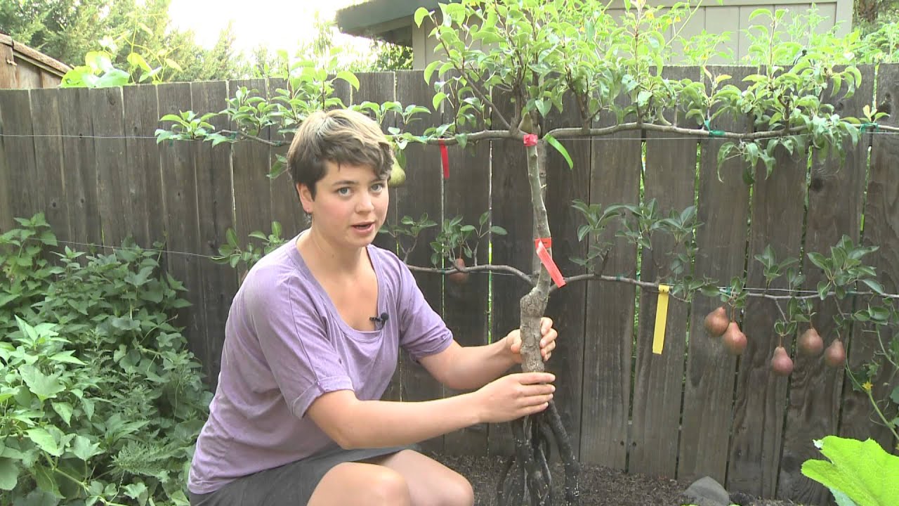 Шпалер с Валей Бутенко 1 из 2