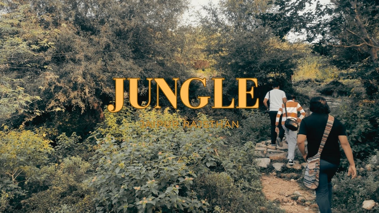 Forest Trek Jaipur | Aisa Rasta… Jahan Kam log jaate Hain 😳