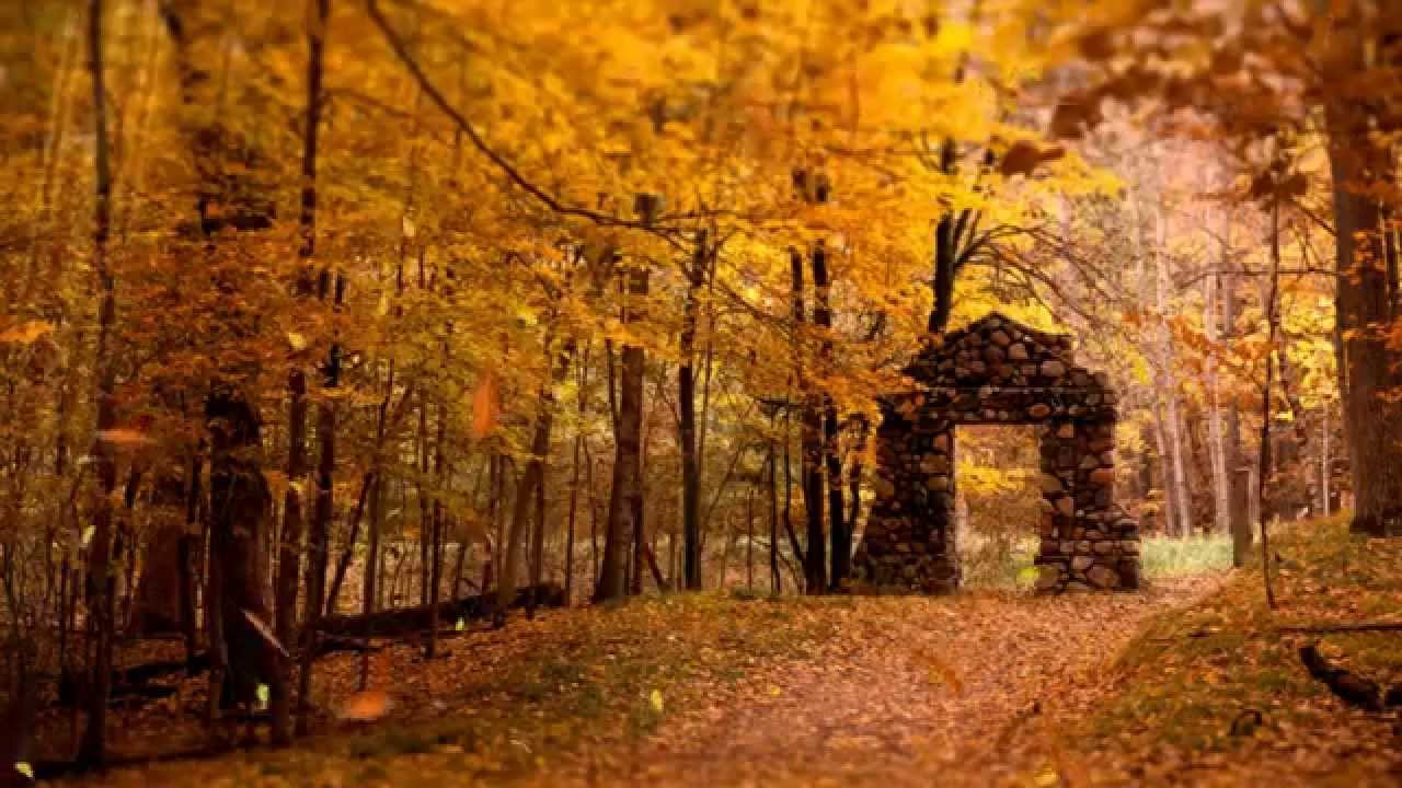 AKMU TIME FALLEN LEAVES LYRICS AUDIO SUBS ESP YouTube akmu-time-fallen-leaves-lyrics-audio-subs-esp-youtube