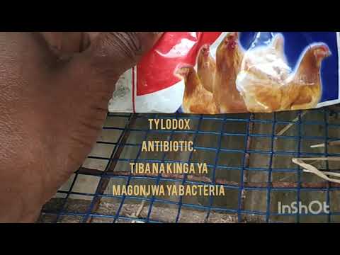 Video: Sungura Ana Magonjwa Gani?