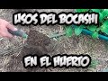 Usos Del Bocashi En El Huerto || Abono Organico || La Huertina De Toni