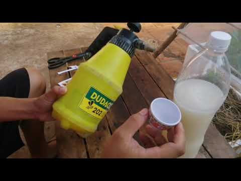 Video Chia sẻ cách phòng trừ sâu bọ bằng chế phẩm sinh học... - YouTube