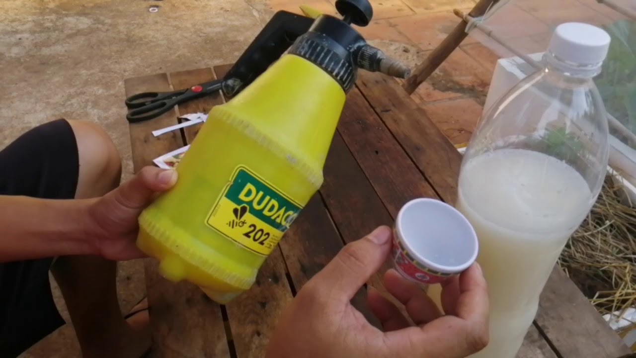 Chia sẻ cách phòng trừ sâu bọ bằng chế phẩm sinh học Bio B an toàn - hiệu quả