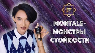 Топ 5 Ароматов Montale для Мужчин и Женщин. Самые Громкие Стойкие и Шлейфовые