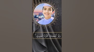 تلاوة مريحة، القاري صالح احمد تكريم #soothing #religion #explore #quran
