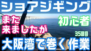 【ショアジギング】初心者 大阪湾 釣り テトラ 青物 ルアー 堤防 つり【35回目】