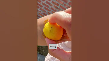 Dark Elbow Try This Viral Remedy Shorts Youtubeshorts Beautyhacks Tanremoval Viral Tan 