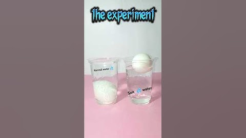 Egg experiment#shortvideo #youtubeshorts #scienceexperiment #shortsfeed #viral shots