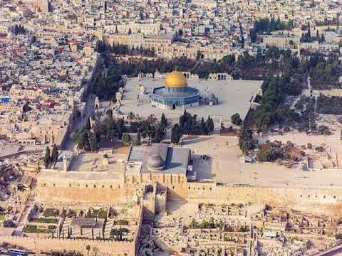 زامل فلسطين الحبيبه اداء عبدالله السبعين كلمات الشاعر سالم محمد زعبنوت المهري