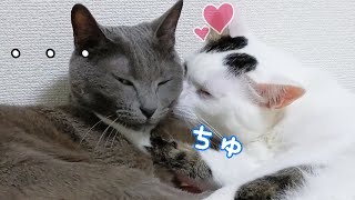 珍しくラブラブかと思いきや…!?