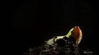 Üç Aylar Duası - Beş Gece Vardır Ki Dualar Geri Çevrilmez