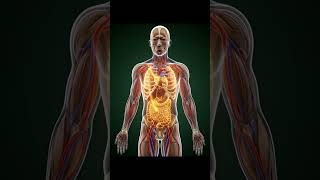 कदरत क करशम