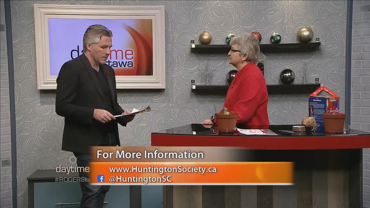 Amaryllis Flowers For The Huntington Society of Canada