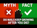 Myth or Fact: Do nails keep growing after you die?