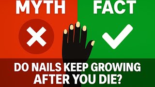 Famous Myth or Fact: Do nails keep growing after you die? Net Worth