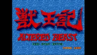 MD兽王记无敌修改版 Altered Beast hack