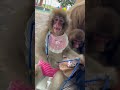 プンプン😤怒るだいくん!一体どうしたのー? #monkey #ニホンザル #ドッキリ #癒され #animals #ベビーモンキー