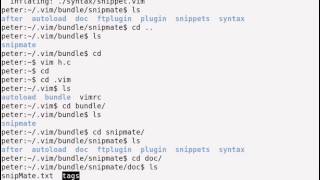 006 vim plugin manage via pathogen