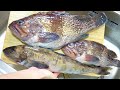 サクラマスジギングで釣った魚達(マゾイ・ホッケ・サクラマス)を捌いて料理しました！