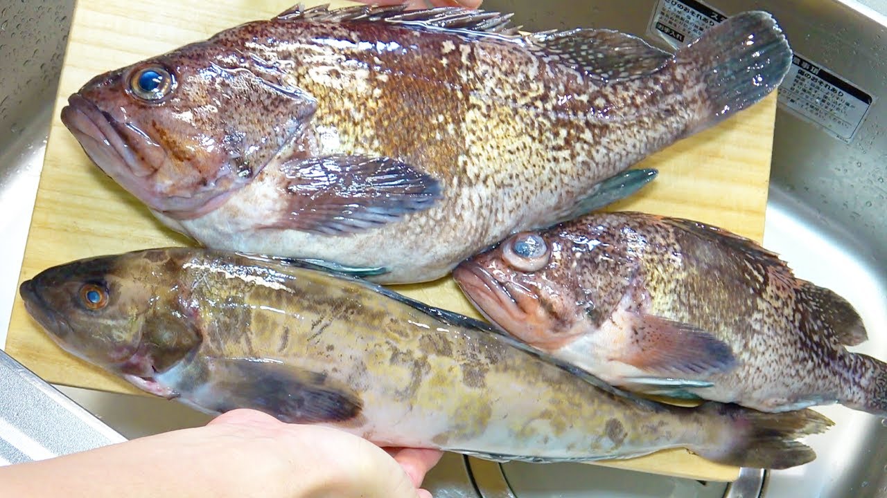 サクラマスジギングで釣った魚達(マゾイ・ホッケ・サクラマス)を捌いて料理しました！