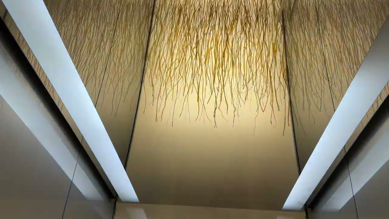 Schindler Aufzüge in den Design Offices in Köln