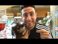 Trading A Paperclip For A Puppy!! Trading A Paperclip For A Puppy!!