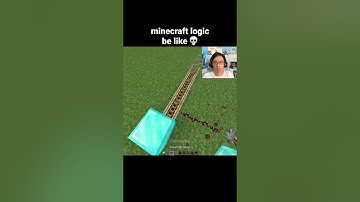 Minecraft Logic Moment