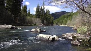 Big Sky Outdoors- Fishing the Salmon fly hatch