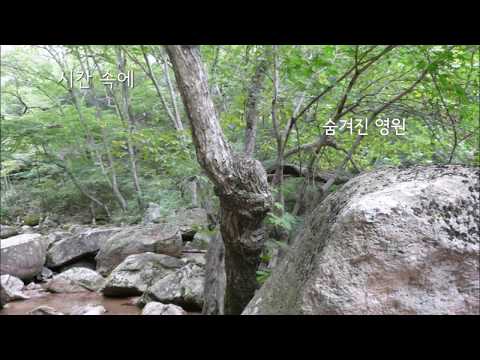 영상썸네일
