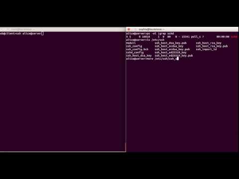 SSH video 2 (IT): autenticazione tramite passworrd