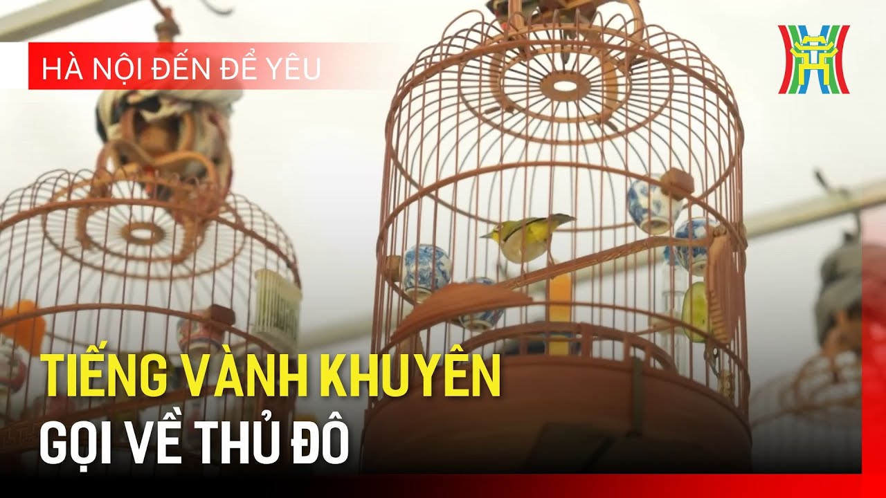 Tiếng Vành khuyên gọi về Thủ đô | Hà Nội đến để yêu