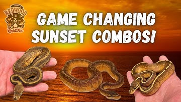 Game Changing Sunset Combos!