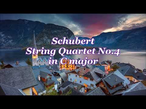 貴重 SP（4枚組）ブッシュ四重奏団 シューベルト Busch Quartet