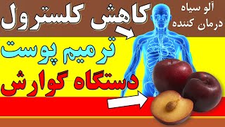 Black Plum Benefits آلو سیاه چطور به بهبود دستگاه گوارش، کاهش کلسترول، سیستم ایمنی بدن کمک میکند